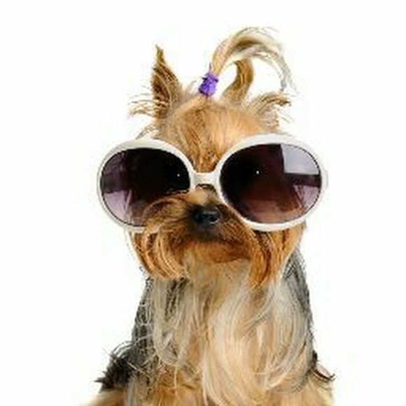 Meet your Posher, Janet - Picture 1 of 1